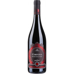 6 Btg Corvina DOC Garda da...
